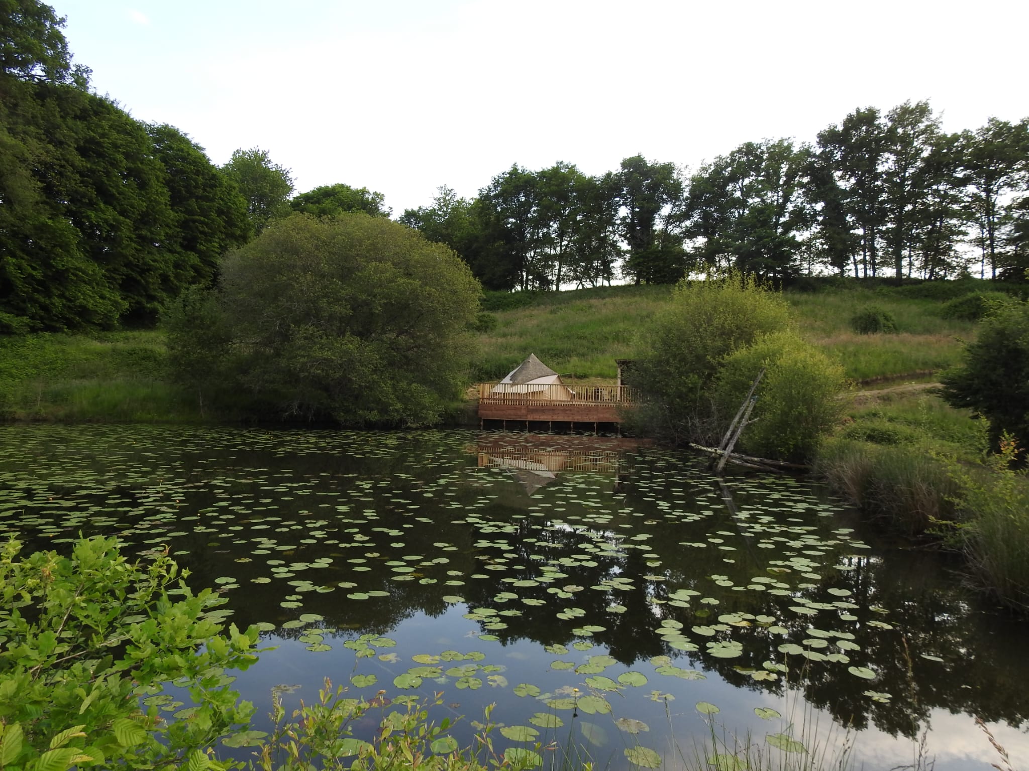 Tent aan de vijver
