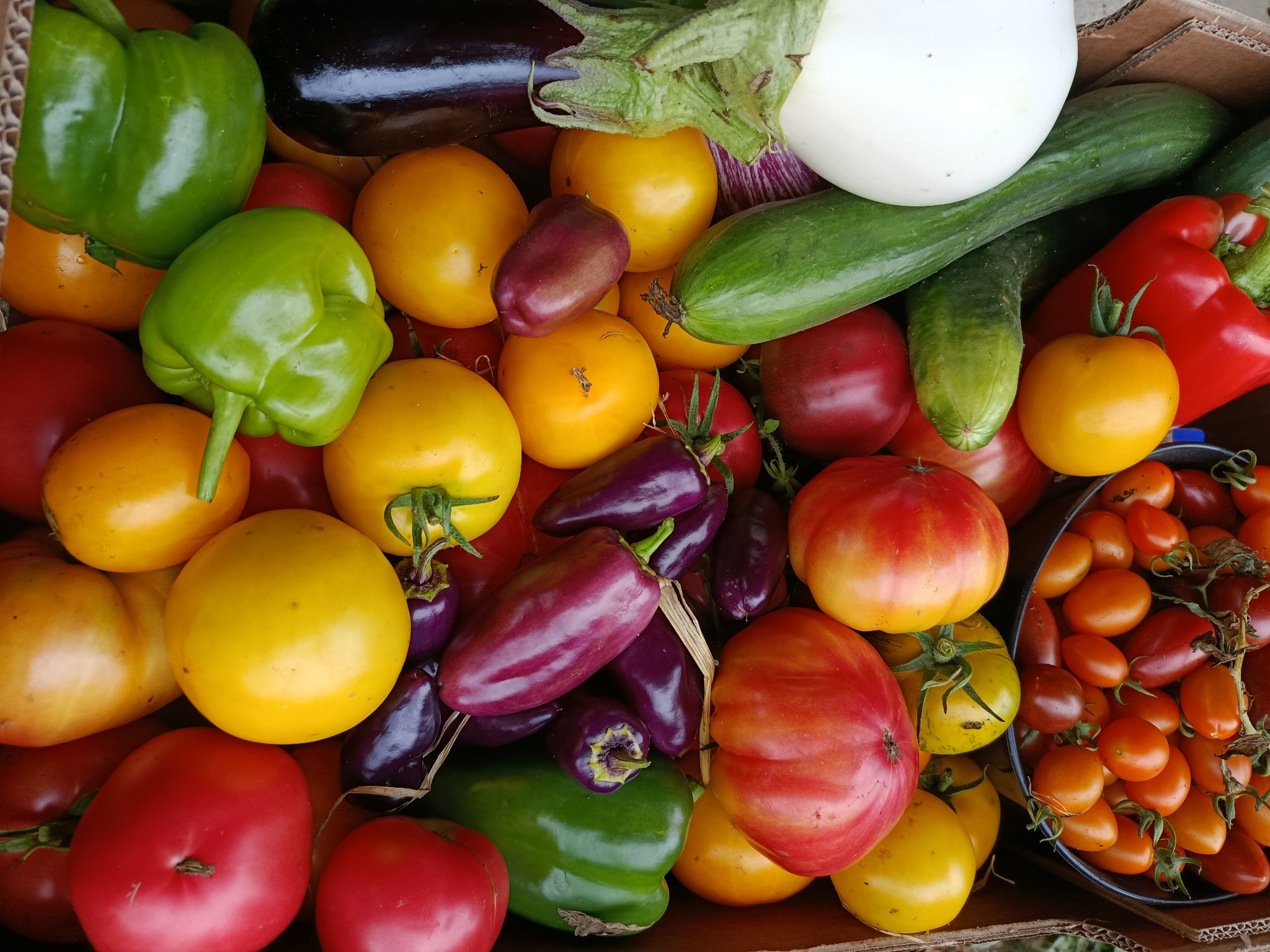 Gevarieerde oogst uit de moestuin van het domein
